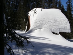 Dudziak Cabin - 11 March 2008